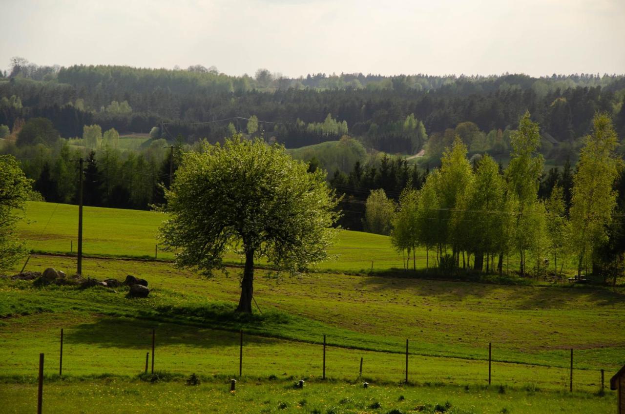 Domki na Wzgórzu - Rospuda Filipow Exterior foto