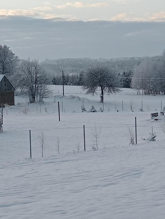 Domki na Wzgórzu - Rospuda Filipow Exterior foto